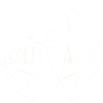 Dr. Mohamed Al Hasoun MEDICAL CENTERLLC